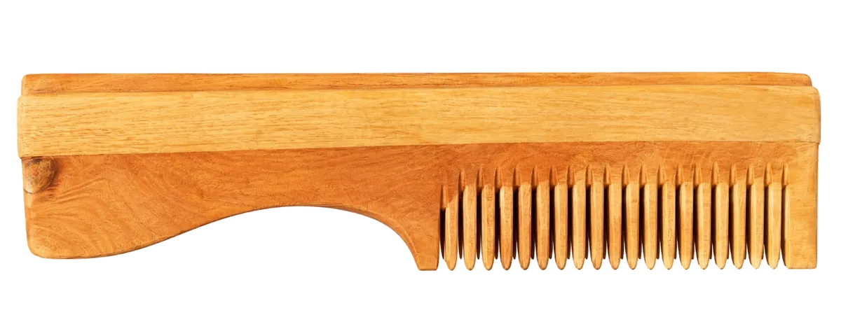 neem comb 1