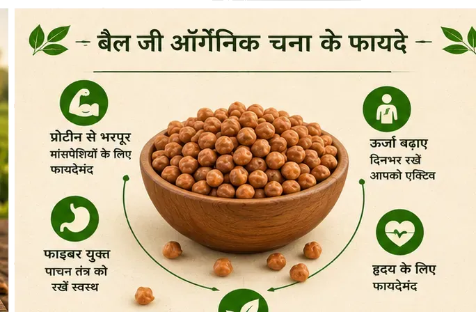 Organic Chickpeas / Chana 4